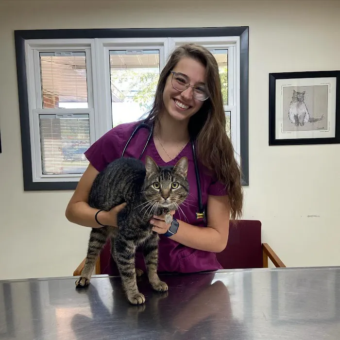 State College Veterinary Hospital 12