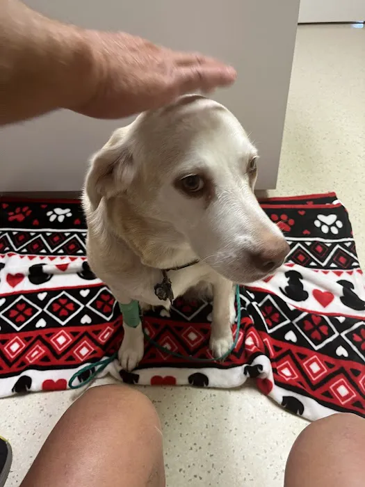 Animal Medical Center of Nittany Valley 3