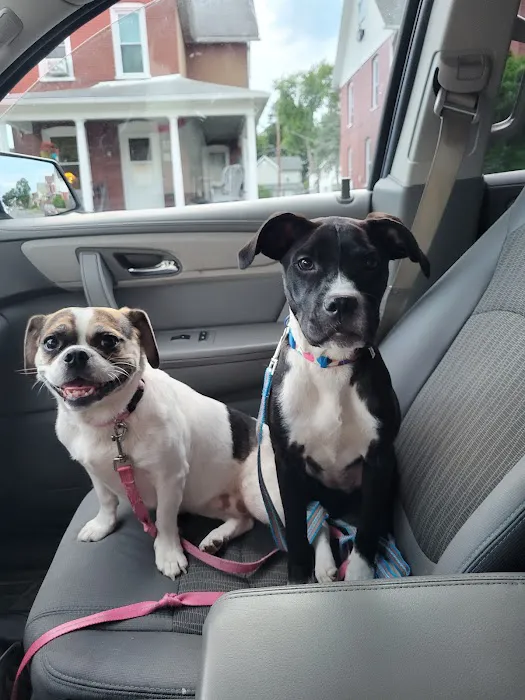 Animal Medical Center of Nittany Valley 7