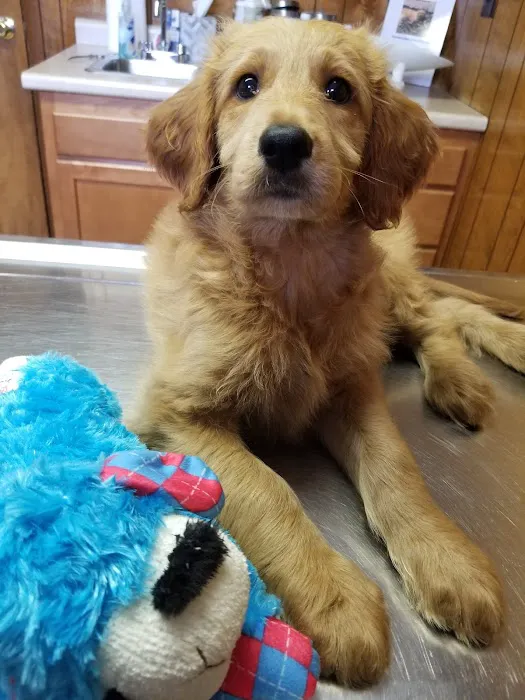 Fishing Creek Veterinary Center 8