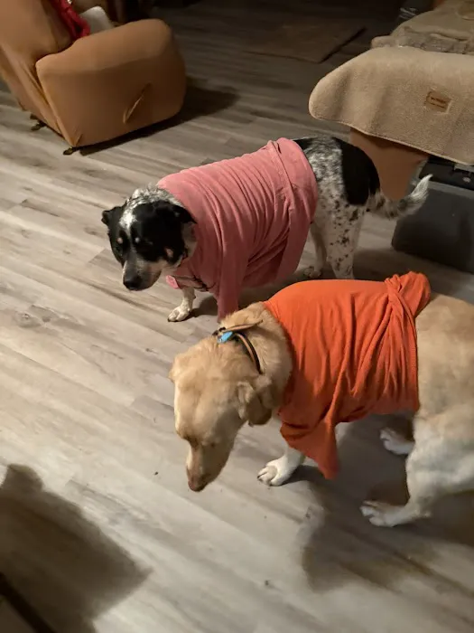 Fishing Creek Veterinary Center 9