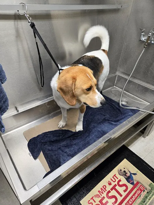 Calico Creek Veterinary Clinic 10