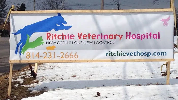 J M Ritchie Veterinary Hospital 7
