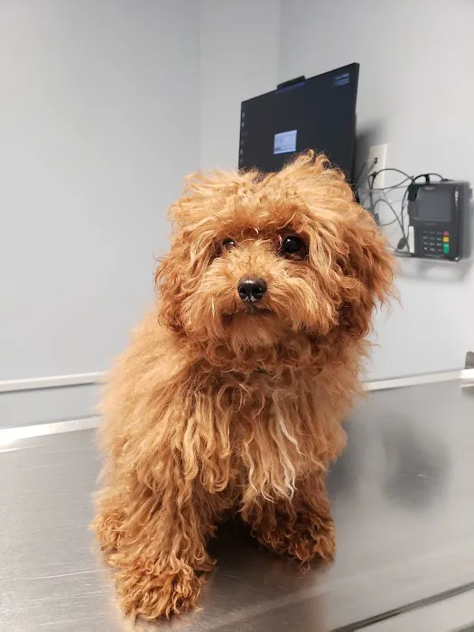 Keystone Veterinary Care 12