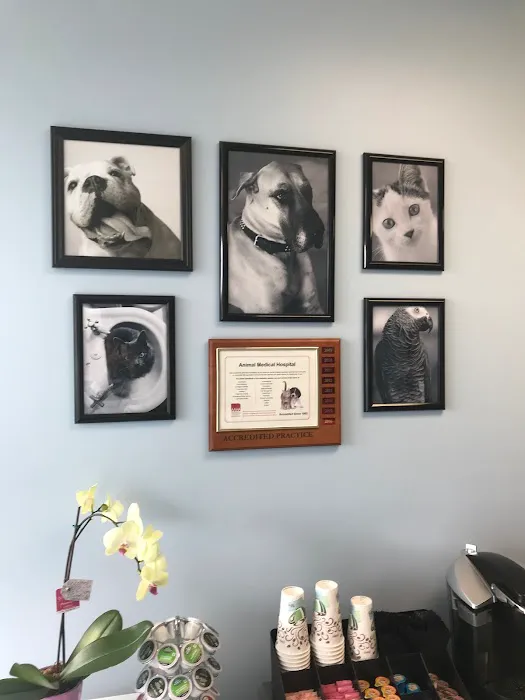Keystone Veterinary Care 12
