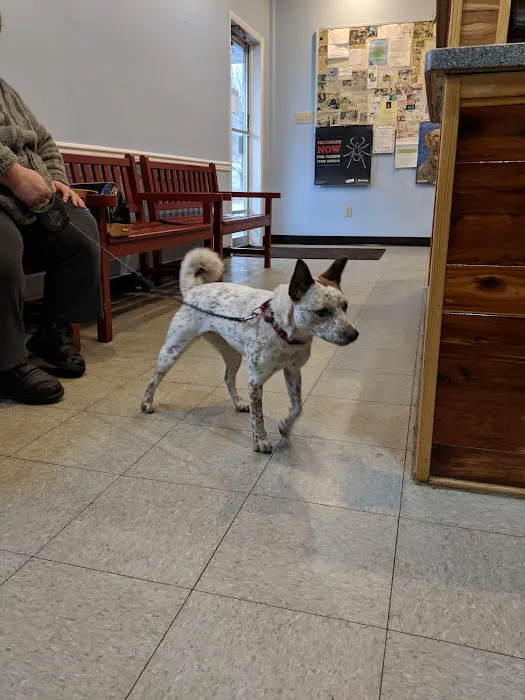 Sweet Valley Veterinary Clinic 8