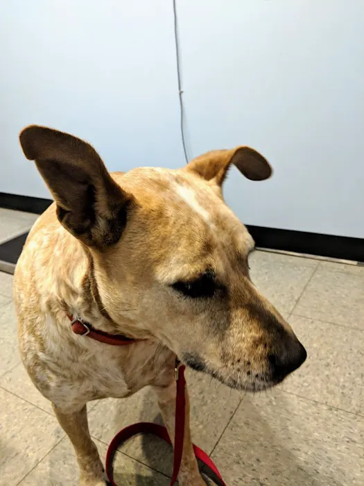 Sweet Valley Veterinary Clinic 1