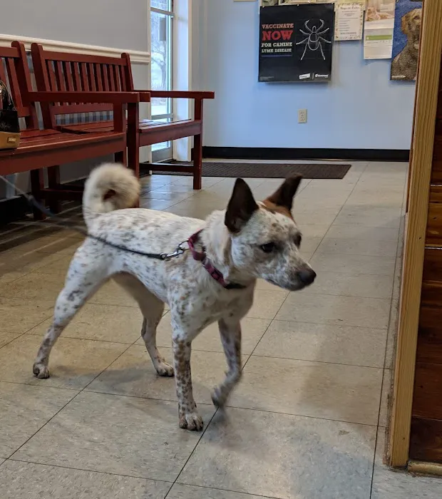 Sweet Valley Veterinary Clinic 3