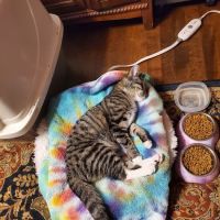 Northeast Wisconsin Veterinary Mleziva R J DVM ico