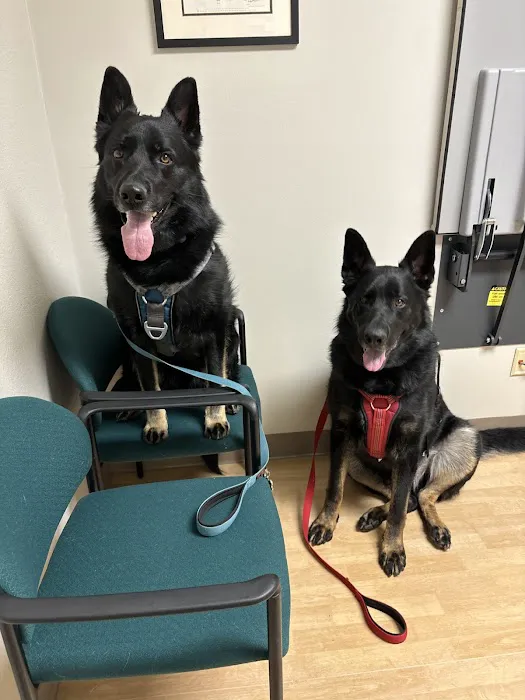 Apple Valley Veterinary Clinic 5