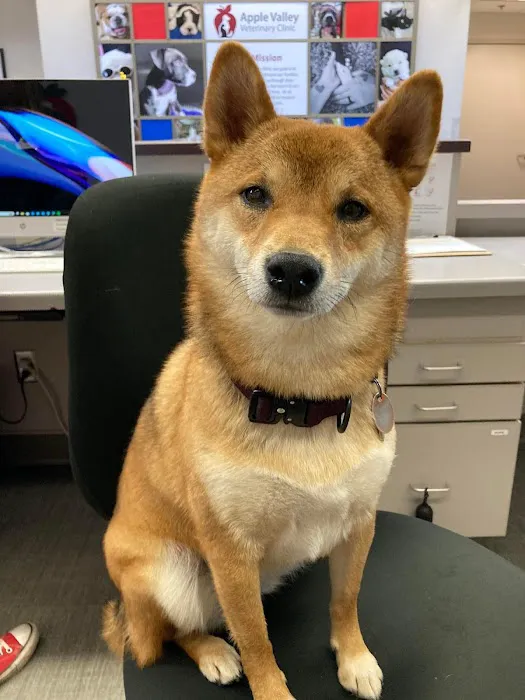 Apple Valley Veterinary Clinic 7