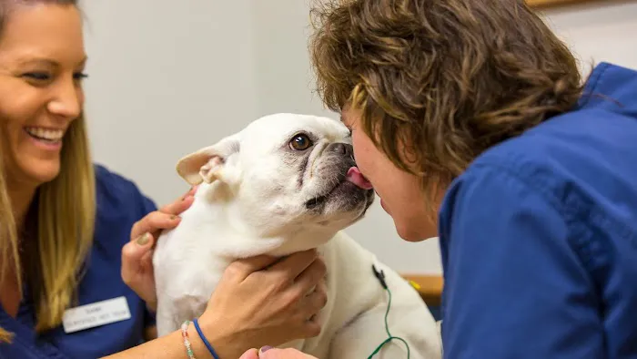 Countrycare Animal Complex 9