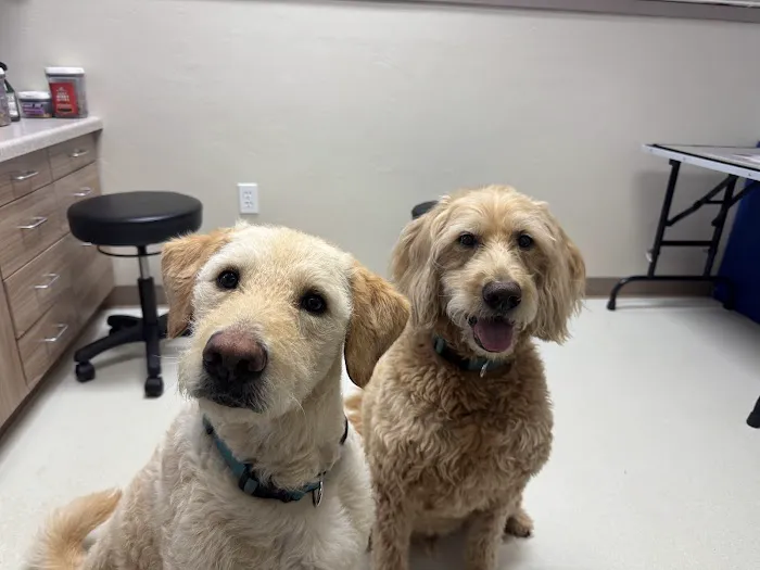 Countrycare Animal Complex 2