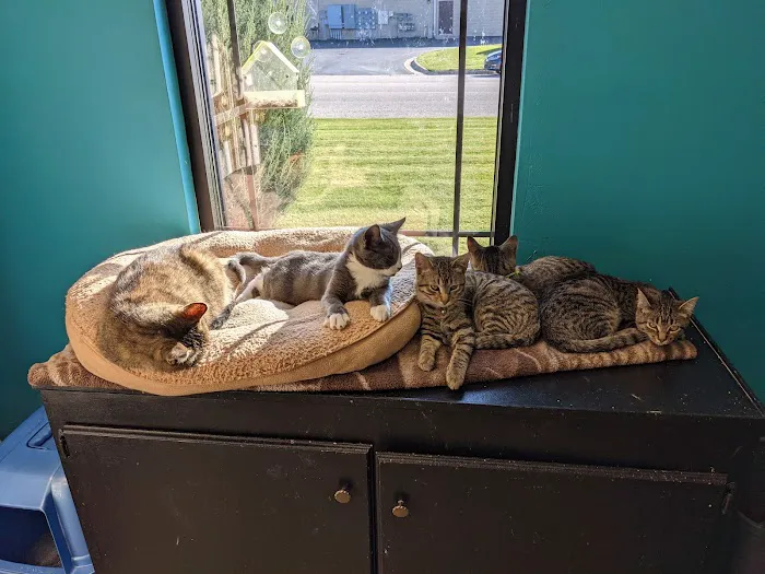 4 Legged Friends 1