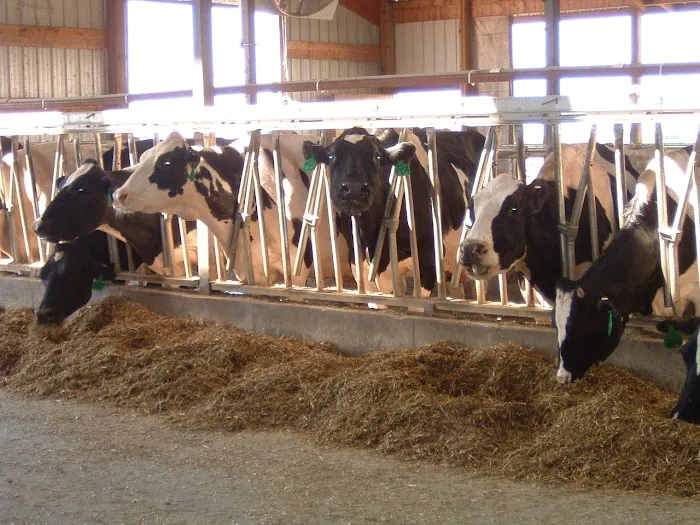 Dairyland Veterinary Service 2