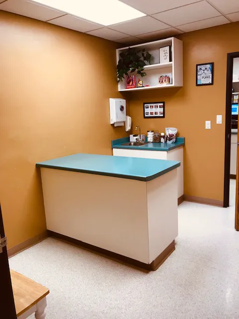 Oak View Veterinary Hospital: Ruth A Hanson, DVM 1
