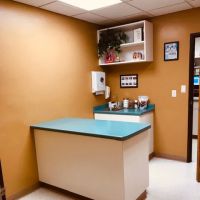 Oak View Veterinary Hospital: Ruth A Hanson, DVM ico