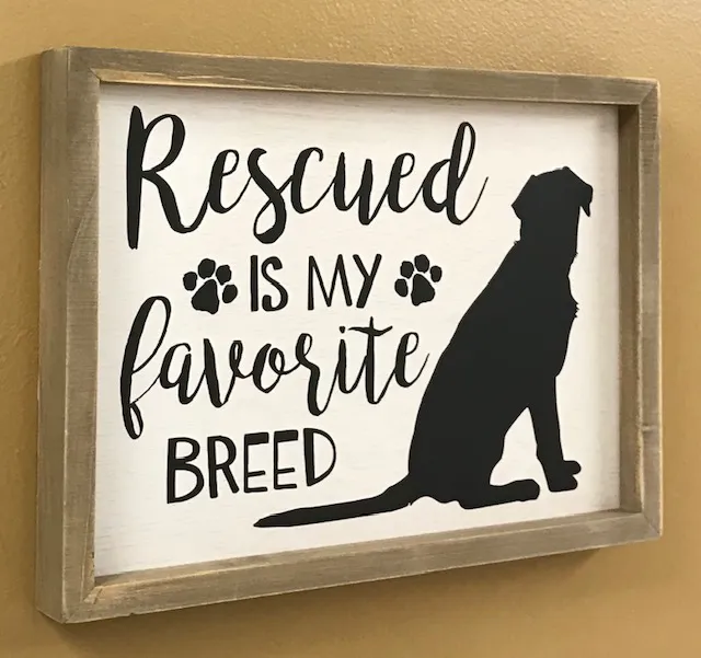 Oak View Veterinary Hospital: Ruth A Hanson, DVM 9