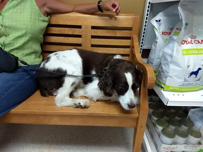Oak View Veterinary Hospital 3