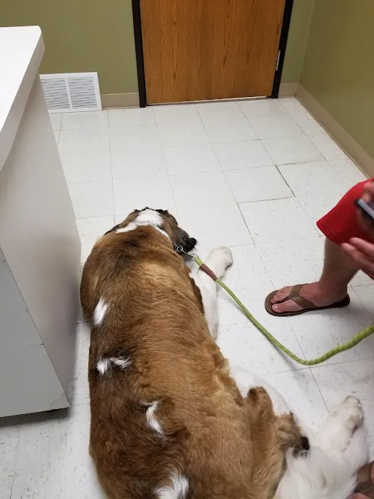 Oak View Veterinary Hospital 5