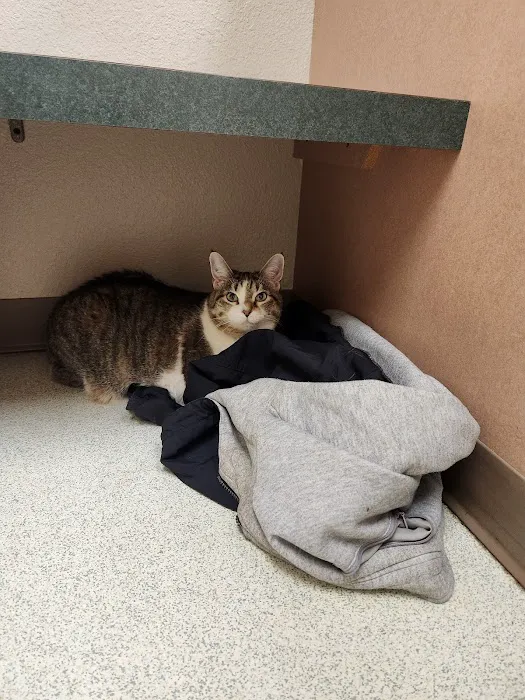 Happy Tails Veterinary Clinic 4