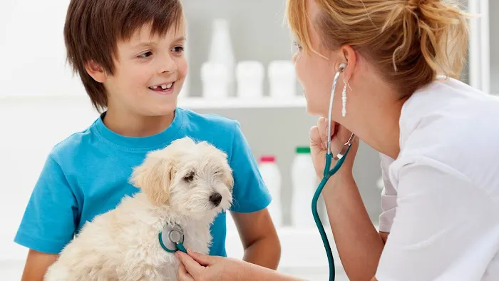 Happy Tails Veterinary Clinic 5