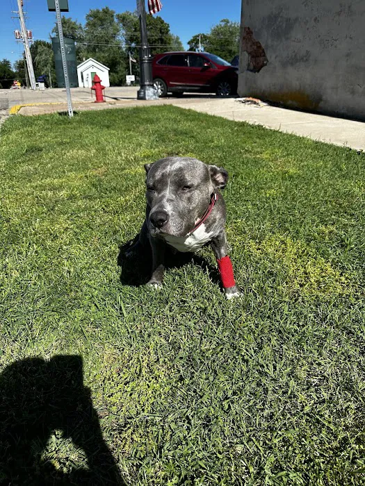 Wenona VetCare 5