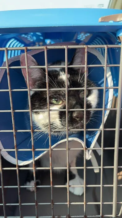 Wenona VetCare 2