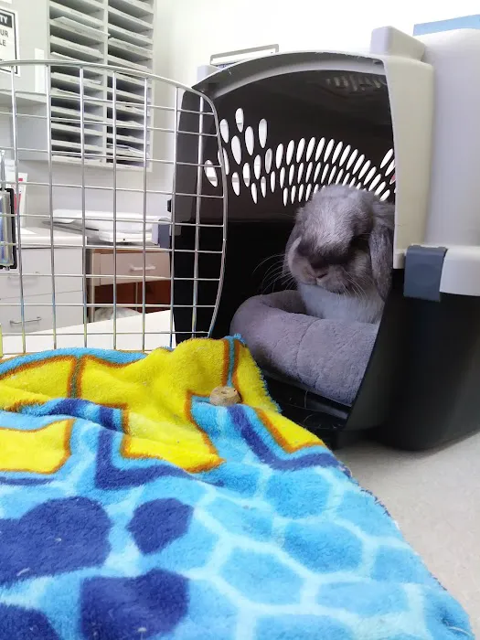 Quad City Pet Care 12