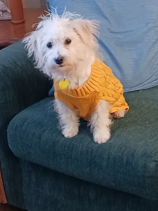 Quad City Pet Care 12