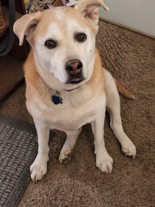 Quad City Pet Care 12