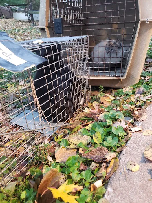 Animal welfare center 12
