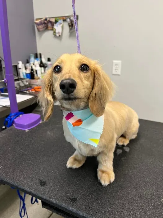 City Line Veterinary Center 12