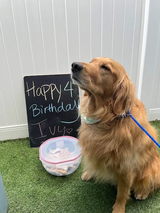 City Line Veterinary Center 12