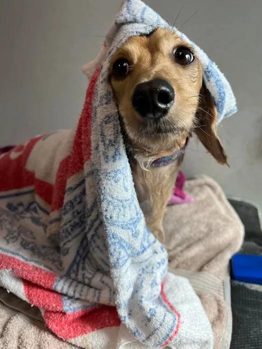 City Line Veterinary Center 12