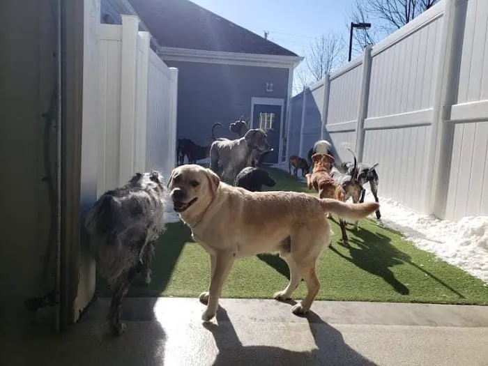 City Line Veterinary Center 12
