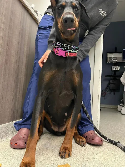 City Line Veterinary Center 12