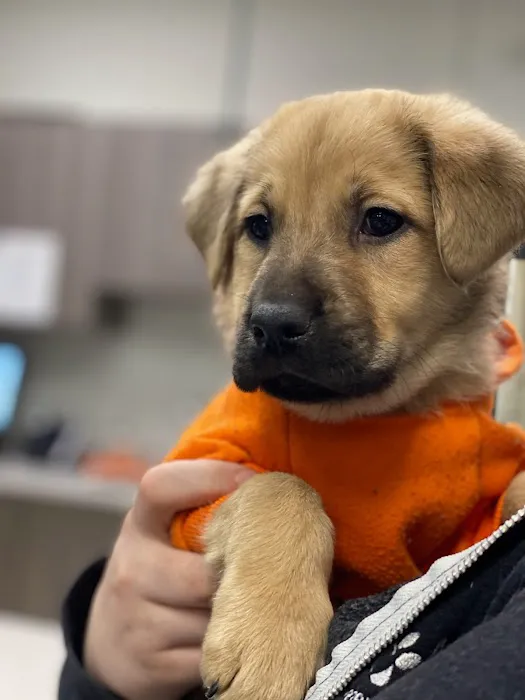 City Line Veterinary Center 12