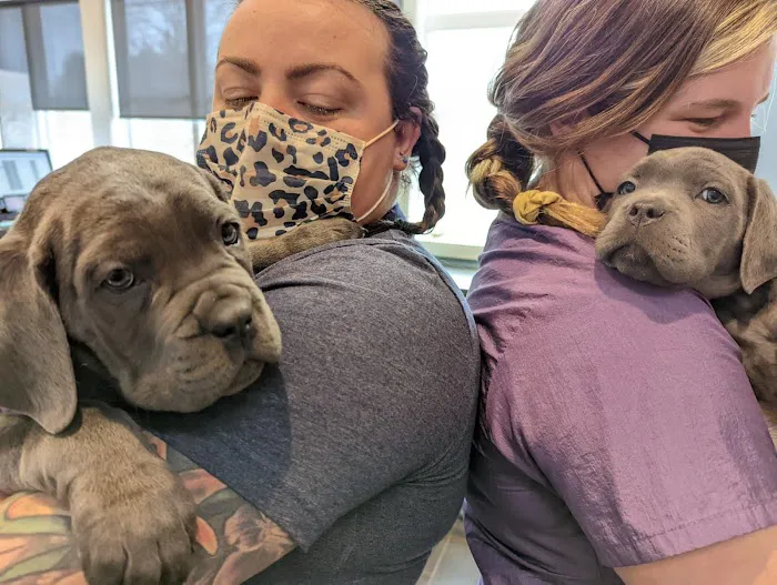 City Line Veterinary Center 12