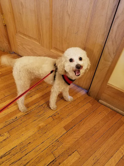 Compassionate Care Veterinary Clinic 12
