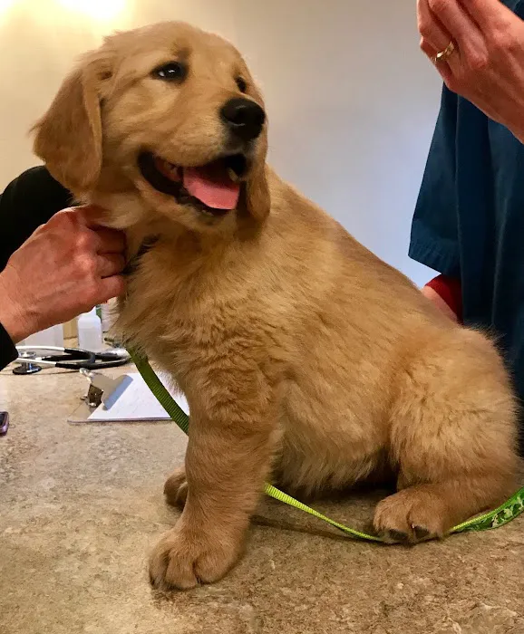 Compassionate Care Veterinary Clinic 12
