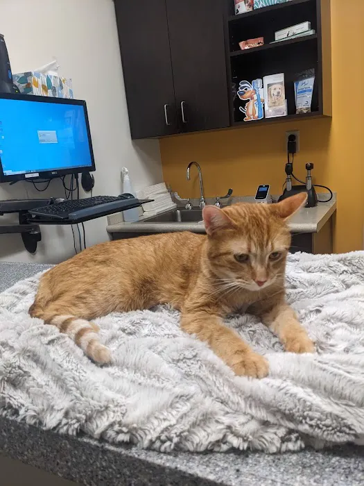 Rock Island Animal Hospital 12