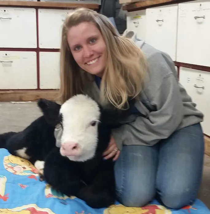 Wyoming Veterinary Services PLLC 3
