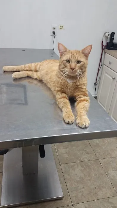Wyoming Veterinary Services PLLC 4