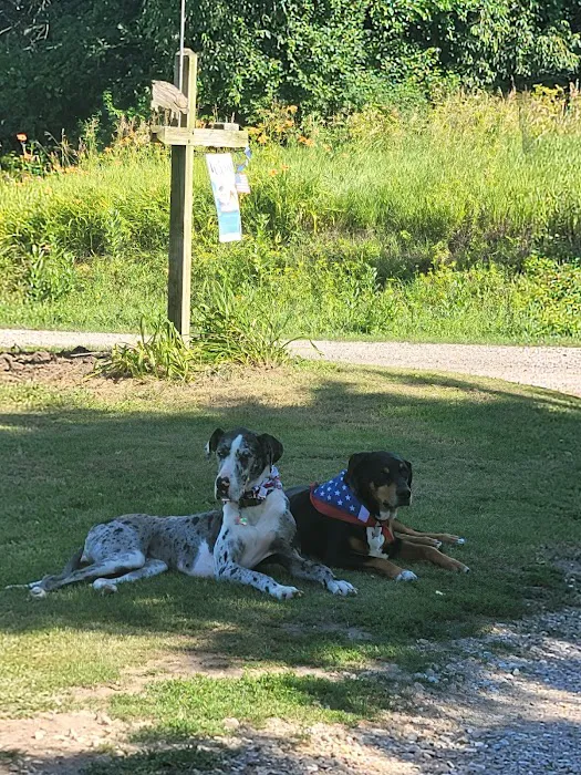 Lundeen Animal Hospital 9