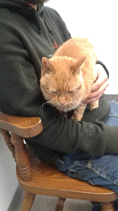 Faithful Friends Animal Hospital 12