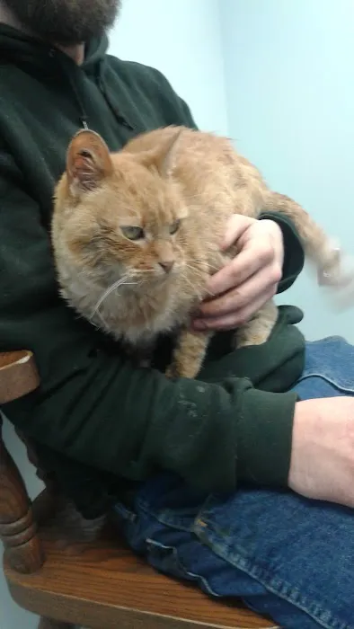 Faithful Friends Animal Hospital 12