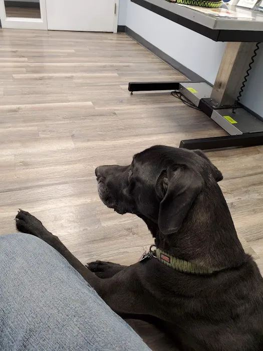 Faithful Friends Animal Hospital 12
