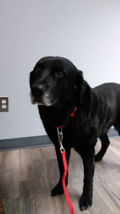 Faithful Friends Animal Hospital 12