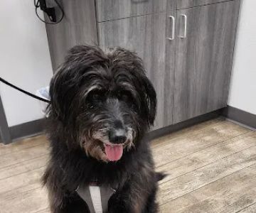 Walcott Veterinary Clinic